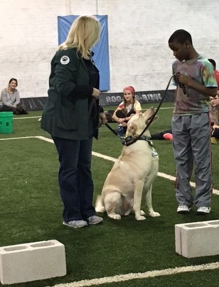 Veteran's Day Dog Training