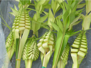 Braided Palms