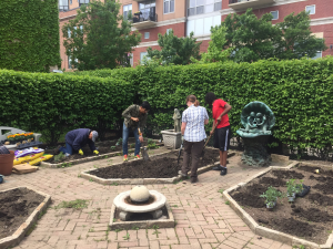 Sustainability in the garden.