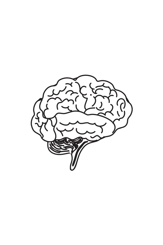 Brain Image.