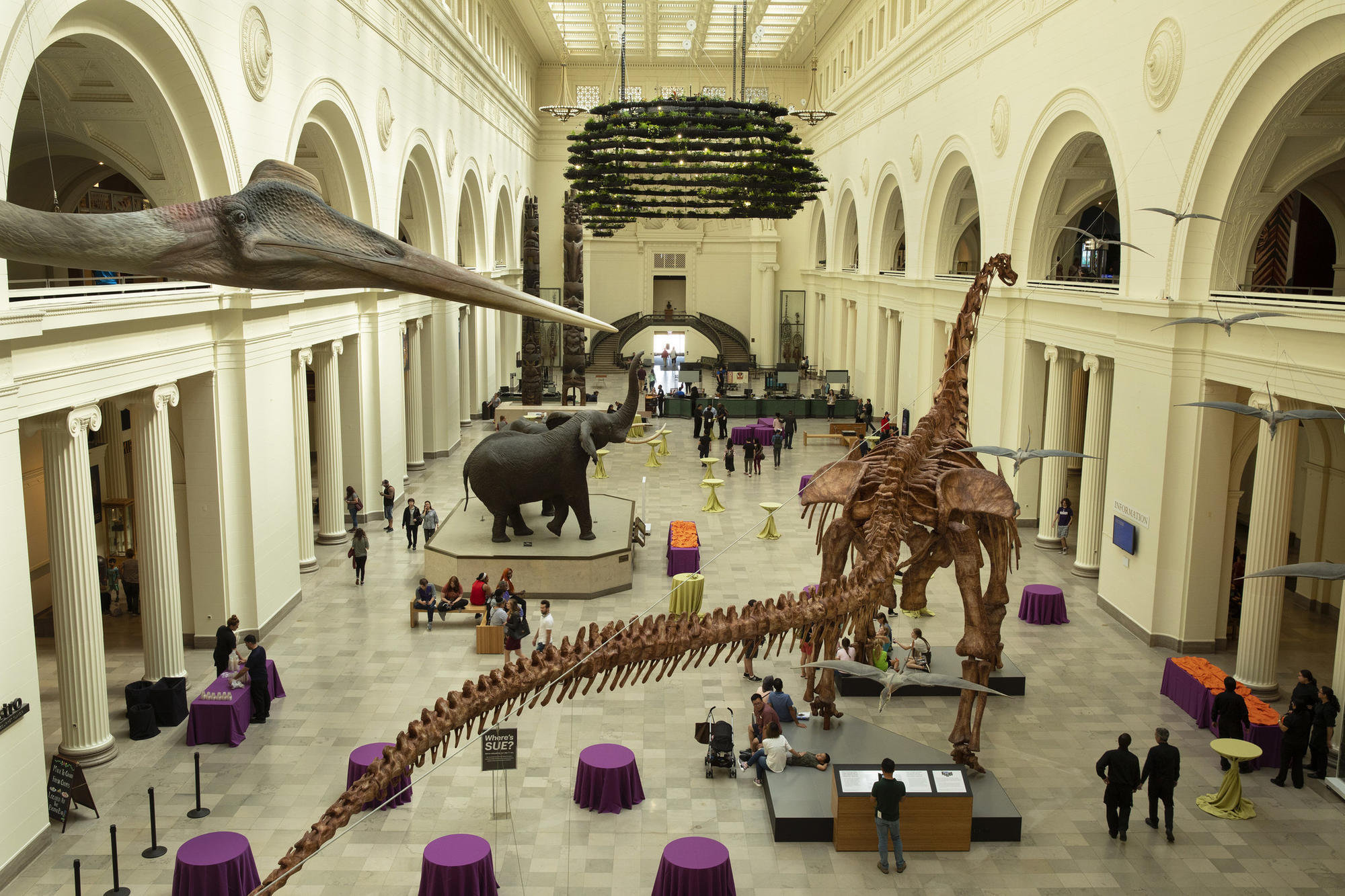 Interior of the Field Museum