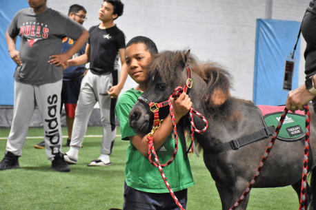 Boy with a mini horse