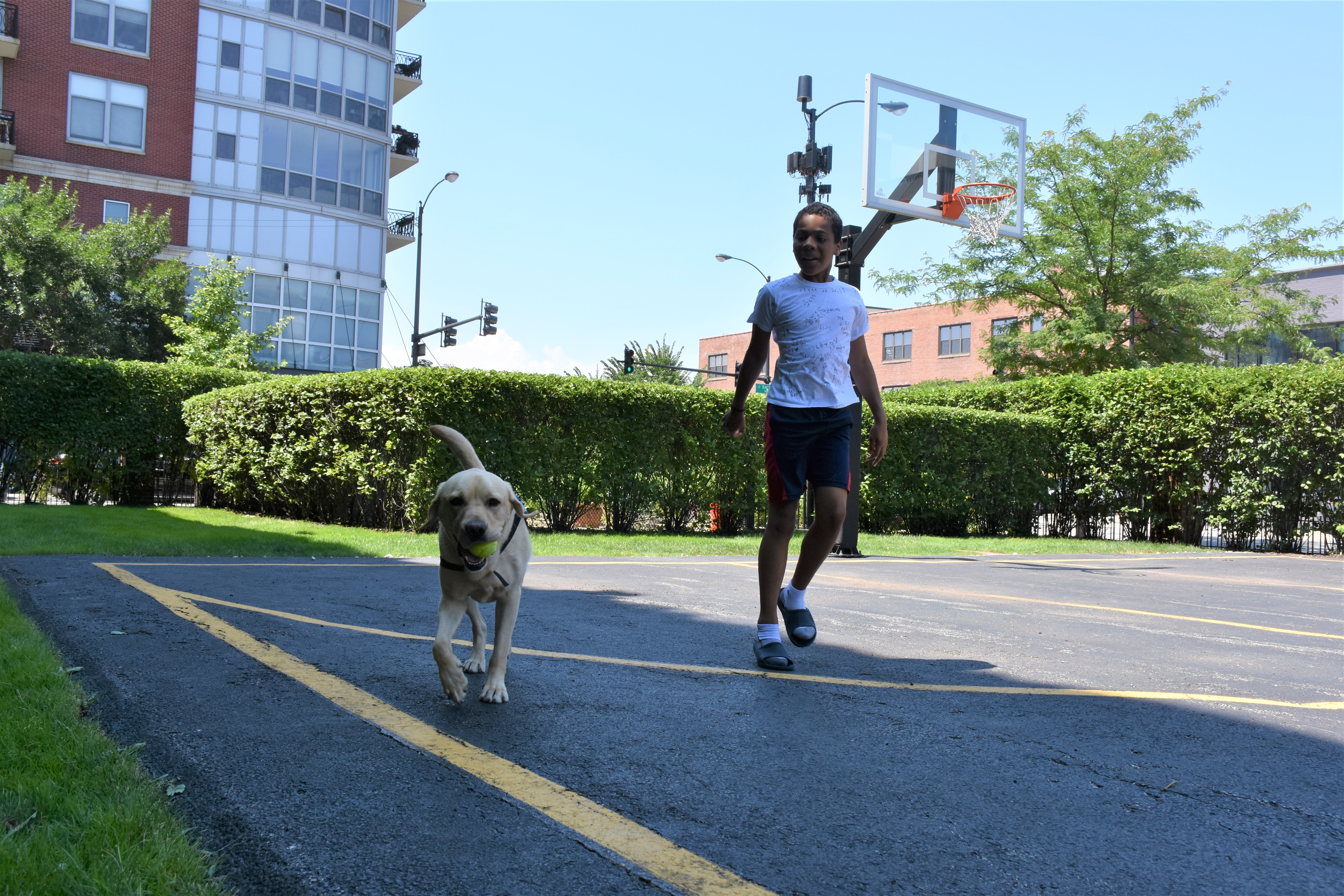 Facility dog Pongo playing outside with Mercy Home youth