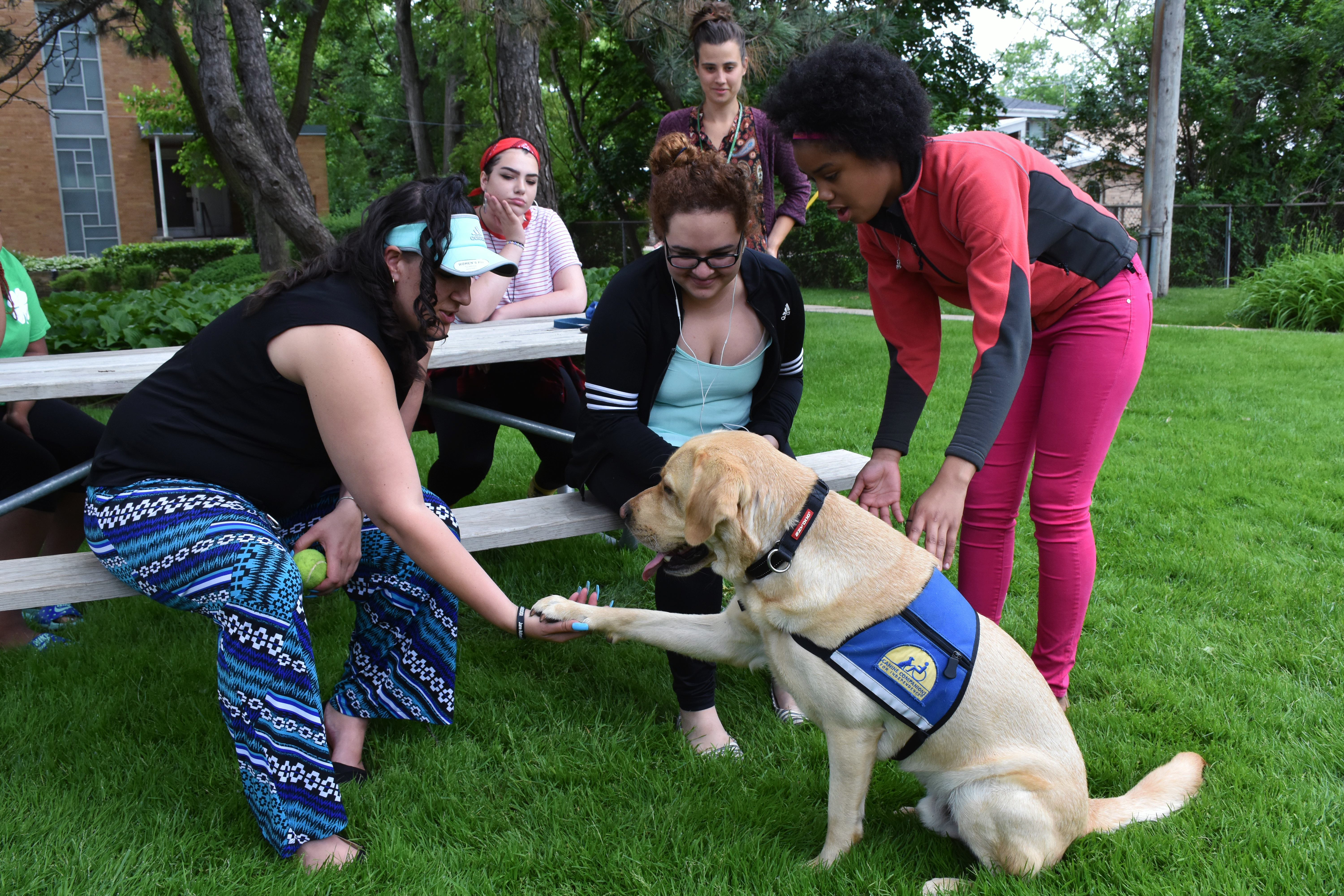 Facility dog Pongo playing with Mercy Home youth