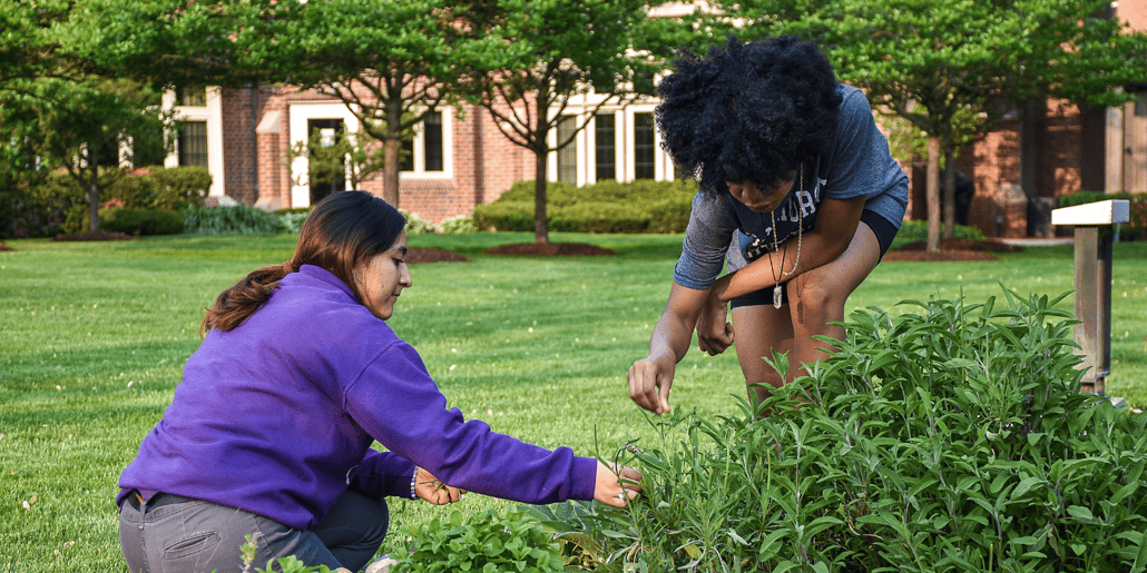 Two girls pull weeds while tending to the garden. 