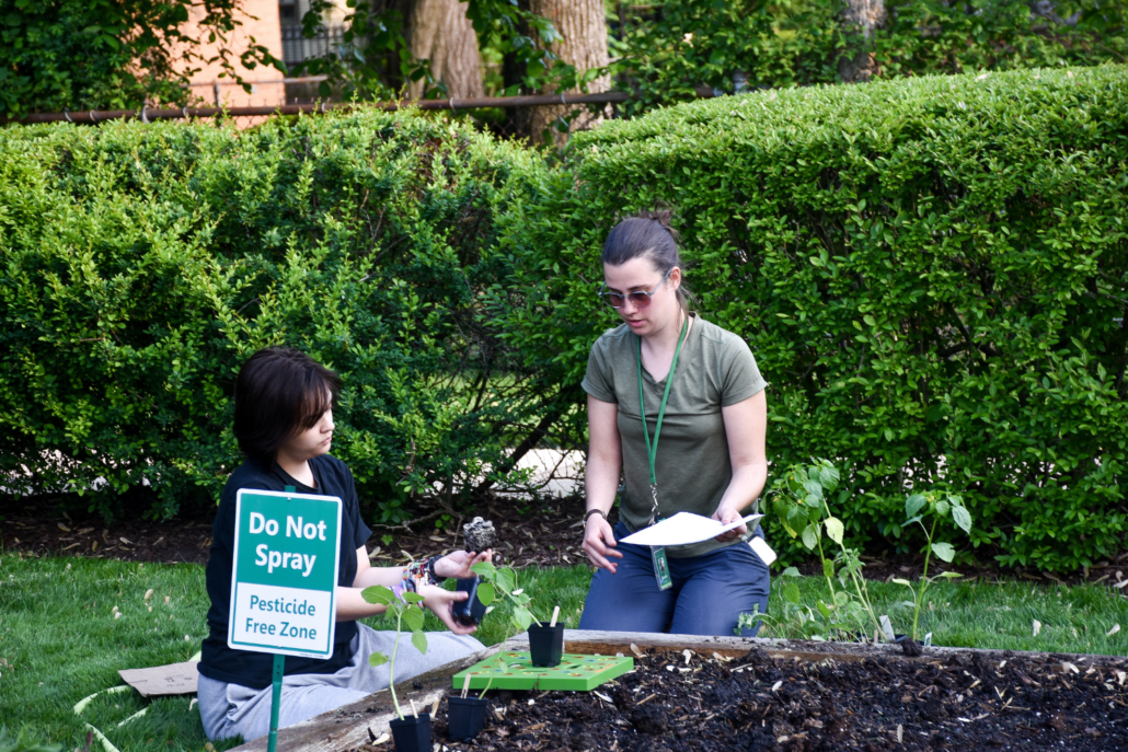 Jessica Mueller le enseña a una de las niñas sobre el suelo, la profundidad de las raíces y la nutrición del jardín.
