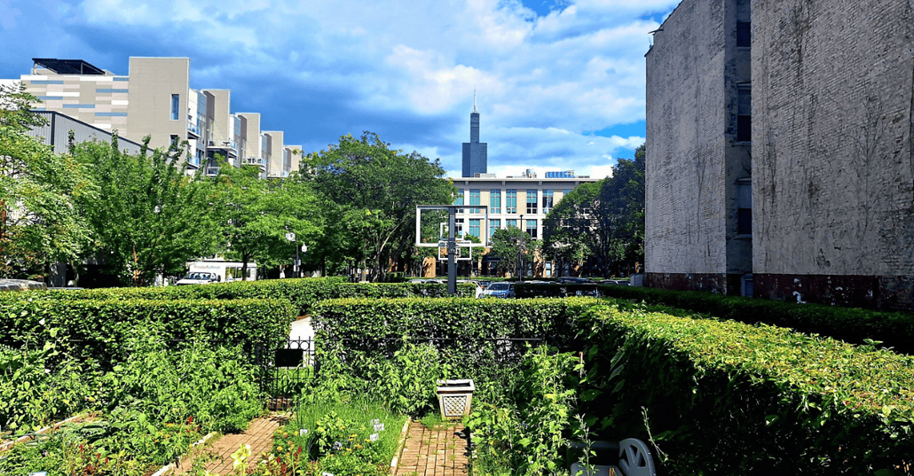 A different view of the garden reveals Willis Tower.